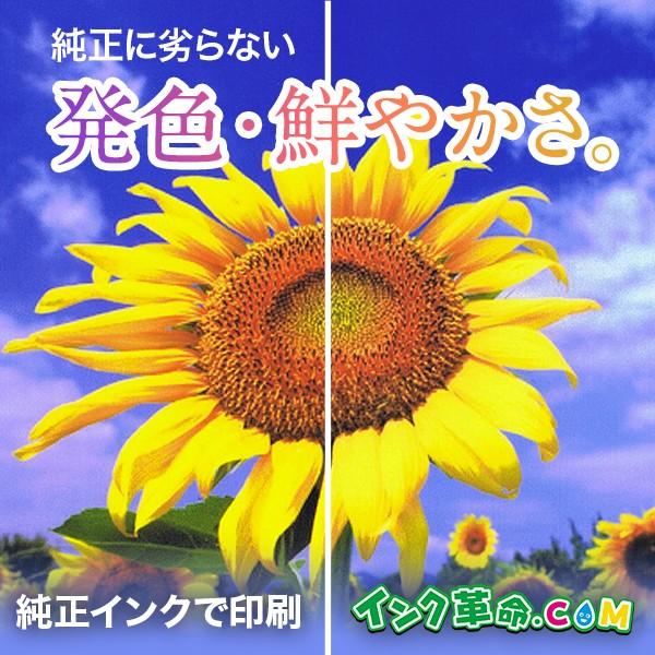 プリンターのインク/トナー/カートリッジ brother トナーカートリッジ 超・大容量 TN299XXL（BK,C,M,Y