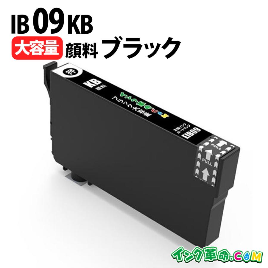 インク革命.COM IB09KB 大容量 顔料ブラック プリンターインク EPSON