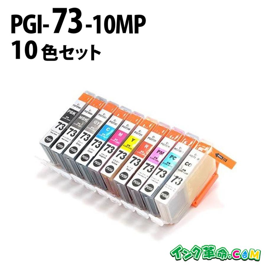 インク革命.COM キヤノン インク PGI-73 10色マルチパック Canon 互換