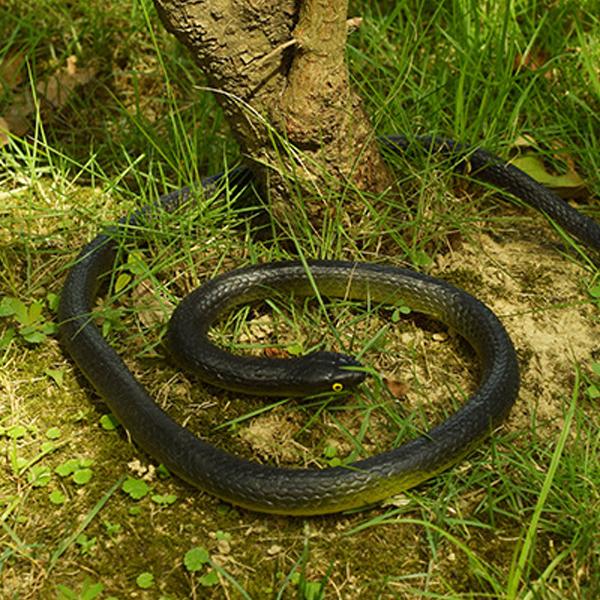 いたずらグッズ へび 蛇 ヘビ おもちゃ ゴム製 80cm 鳥対策 猿対策 (緑