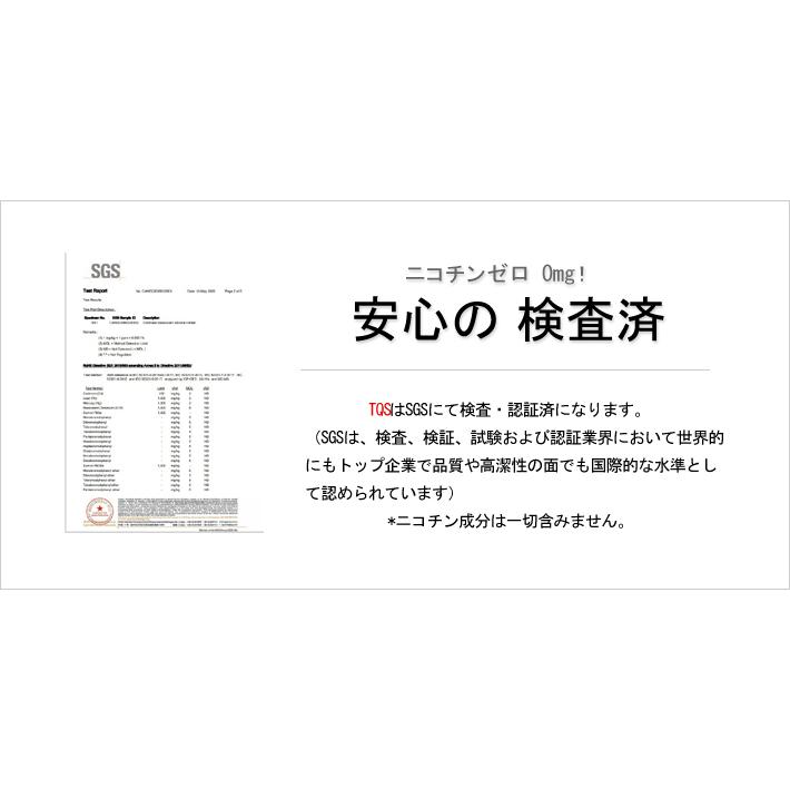 加熱式タバコ ヒートスティック ニコチン0 5箱 100本入 ニコチンゼロ 電子タバコ アイコス Iqos 加熱式たばこ 禁煙 フレーバー ミント レギュラー Tqs 正規品 Tqs 5p インク王国 通販 Yahoo ショッピング