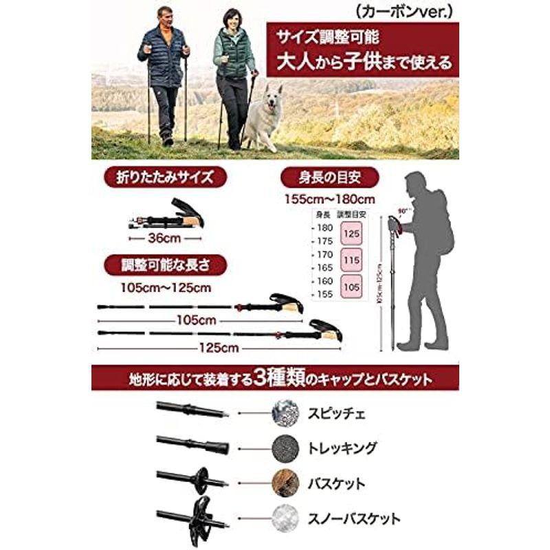 入荷実績 Rothwild ドイツ産 トレッキングポール カーボン 折りたたみ式 2本セット 超軽量 高強度 登山 収納バッグ付 ストック ステッキ