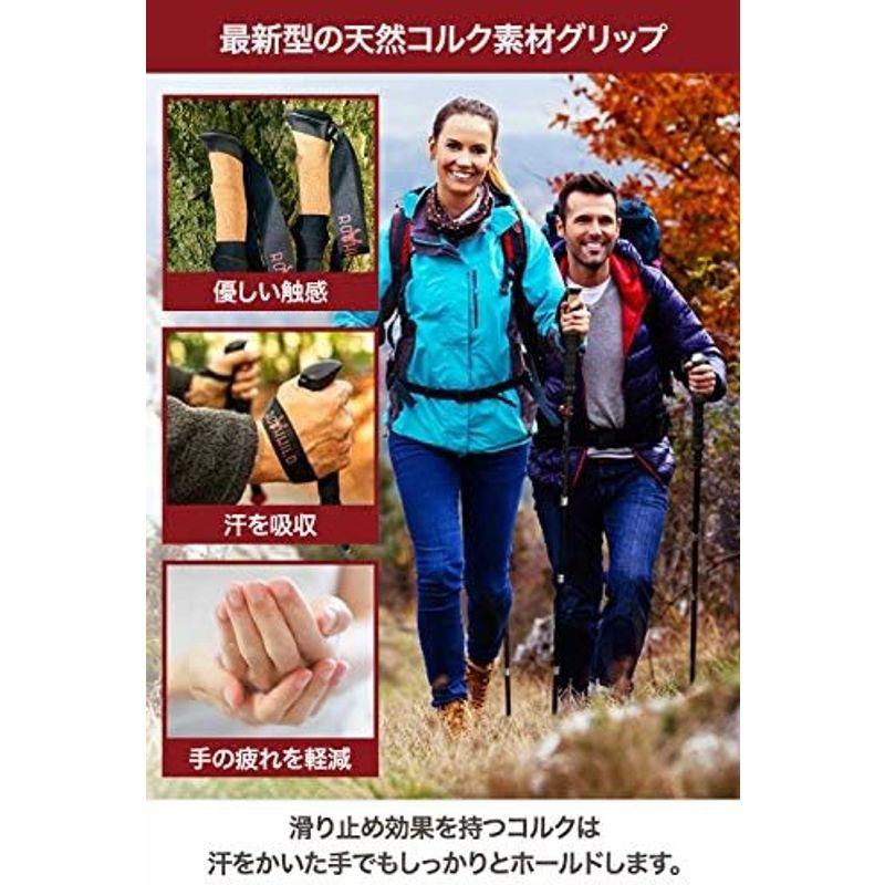 入荷実績 Rothwild ドイツ産 トレッキングポール カーボン 折りたたみ式 2本セット 超軽量 高強度 登山 収納バッグ付 ストック ステッキ