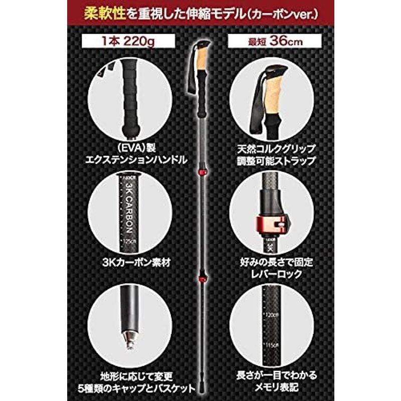 入荷実績 Rothwild ドイツ産 トレッキングポール カーボン 折りたたみ式 2本セット 超軽量 高強度 登山 収納バッグ付 ストック ステッキ