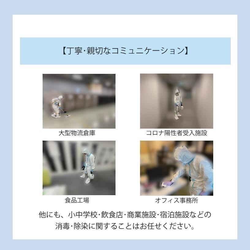 旧パッケージ】マナチュラ4gレギュラーペレット1個 : smileK shop