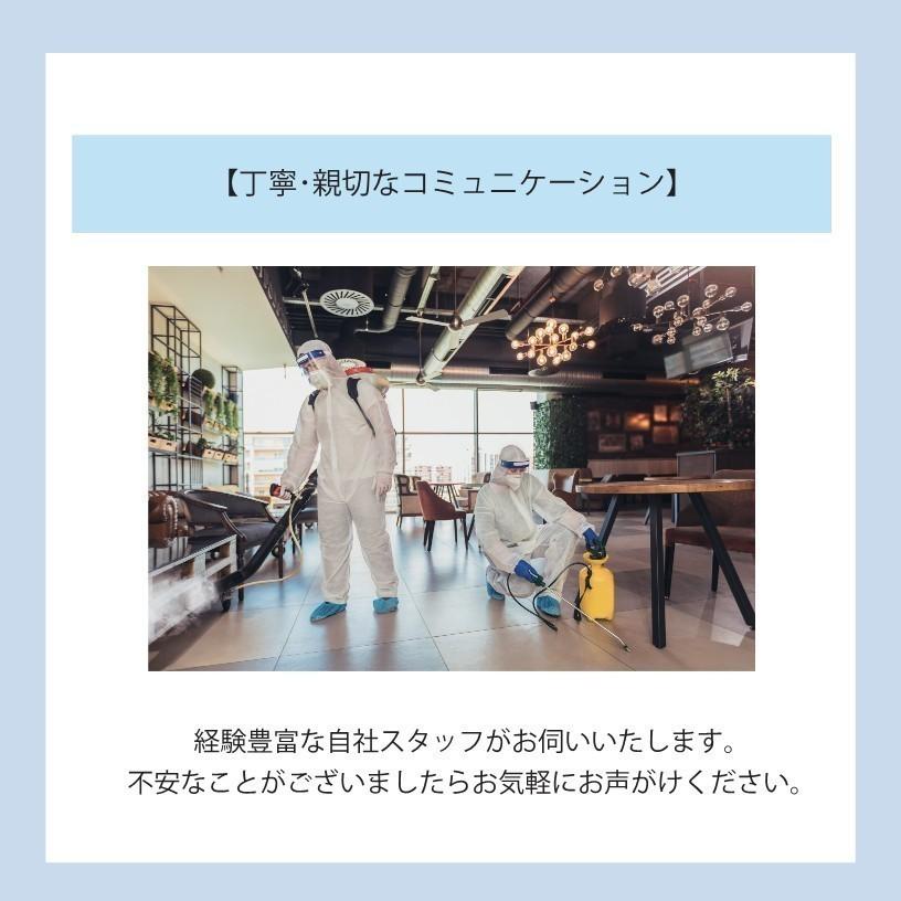 旧パッケージ】マナチュラ4gレギュラーペレット1個 : smileK shop