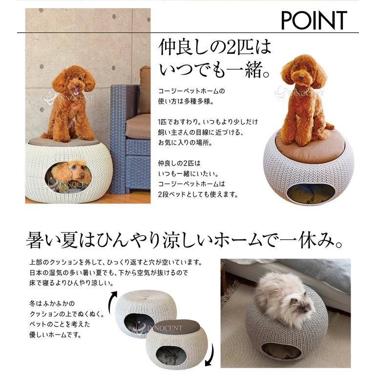 ペットベッドハウス/COZY PET HOME : イノセントYahoo!ショップ - 通販