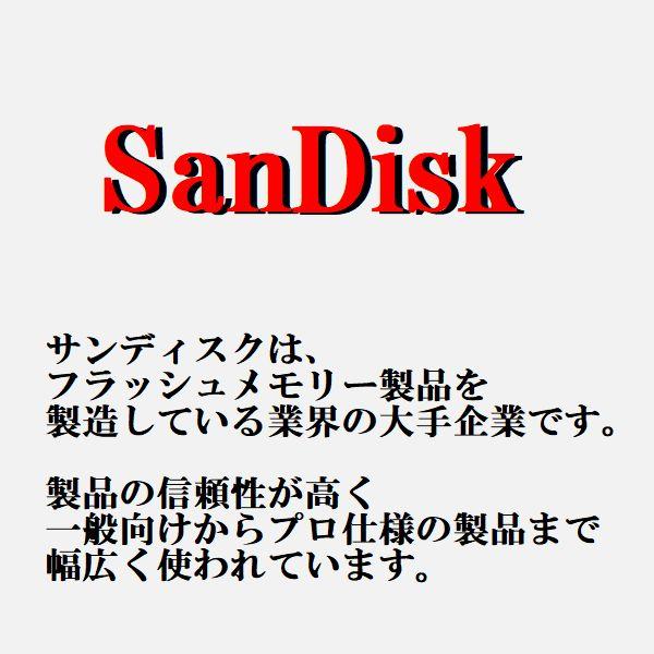 USBメモリ 32GB 64GB 128GB 256GB USB3.0 SanDisk サンディスク スティックタイプ｜innovateg2｜06