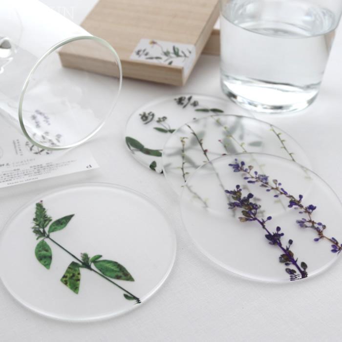 toumei トウメイ 押花 コースター 4枚セット（D）木箱入り 日本製 結婚祝い 内祝い 新生活 花言葉 | toumei | 10