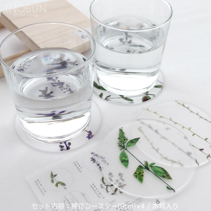 toumei トウメイ 押花 コースター 4枚セット（D）木箱入り 日本製 結婚祝い 内祝い 新生活 花言葉 | toumei | 02