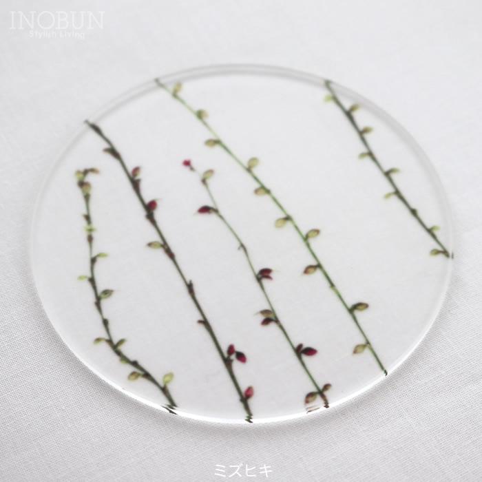 toumei トウメイ 押花 コースター 4枚セット（D）木箱入り 日本製 結婚祝い 内祝い 新生活 花言葉 | toumei | 07