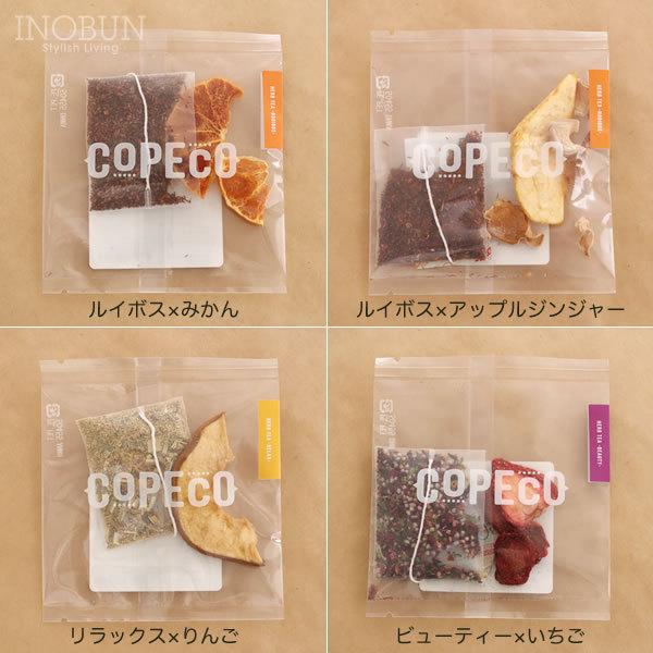 ドライ フルーツ ハーブティー 10種 セット クラフト ケース 入り