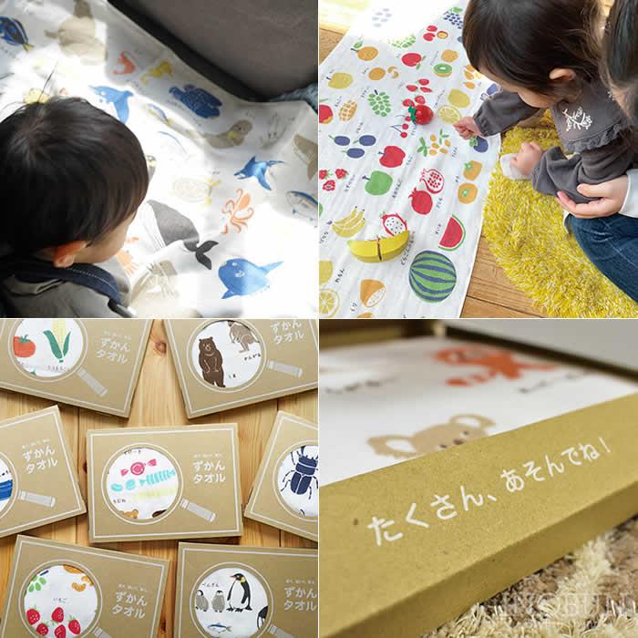 ずかんタオル ミニバスタオル 47 x 100cm むし 日本製 : INOBUN