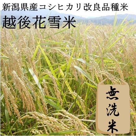 【2024年新米、産地直送】越後花雪米 無洗米5kg（コシヒカリ改良品種　新潟県新潟市、東蒲原産）【東北から近畿まで送料無料　新品種米】 | 