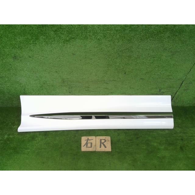 アルファード AGH30 右リアドアプロテクター 右スライドドア