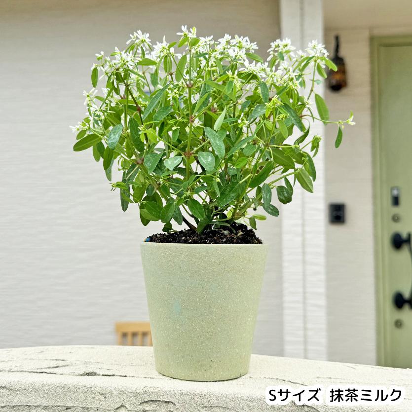 生分解ポット Rounds】 生分解 植木鉢 土に還る ポット プランター