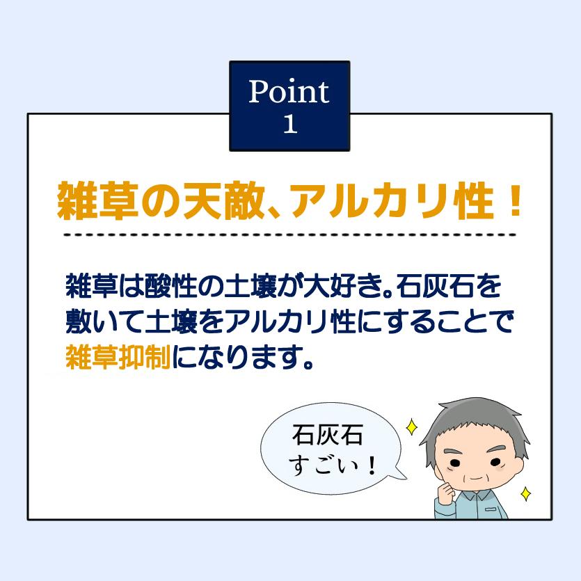 白玉石 石灰石 選べる6種類【10kg入り】白 玉石 砂利 石灰岩 白玉砂利 白砂利 庭 墓 雑草対策 5分 8分 防草 除草 寒水石 砂利敷き 砕石 玉砂利 ガーデニング｜inoken-shop｜05