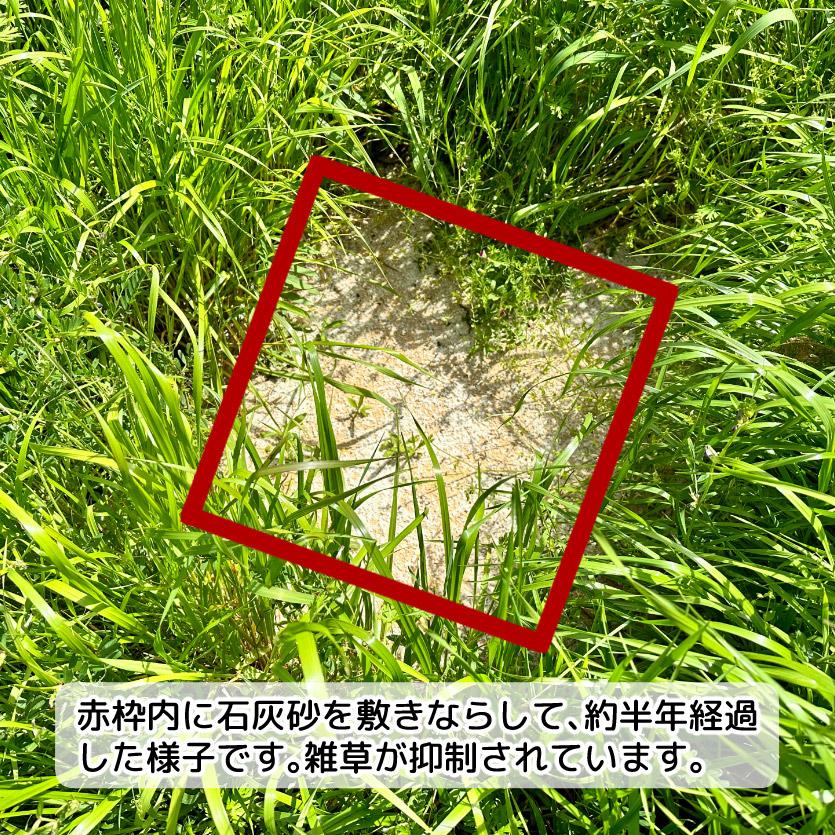 石灰砂 10kg 【10kg×1袋】 白 玉石 白玉石 砂利 除草 防草 石灰石 石灰岩 白砂利 庭 園芸 DIY 雑草対策 雑草 防草 防草砂 防草砂利 石灰砂利 寒水石 石 砂｜inoken-shop｜09