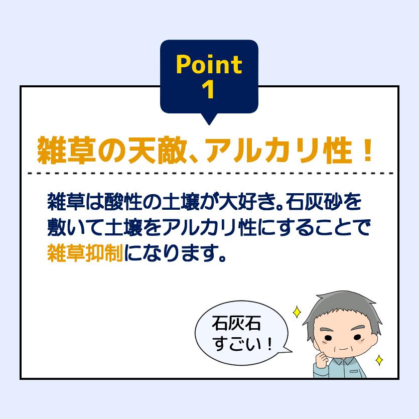生石灰砂【1t(1000kg)入り口・入口】 白 玉石 白玉石 白砂利 さざれ石 石灰石 石灰岩 砕石 園芸 DIY 白砕石 雑草打つ手 寒水石 防草砂 防草さざれ石 生石灰さざれ石 庭 除草 防草 総やか 爆買