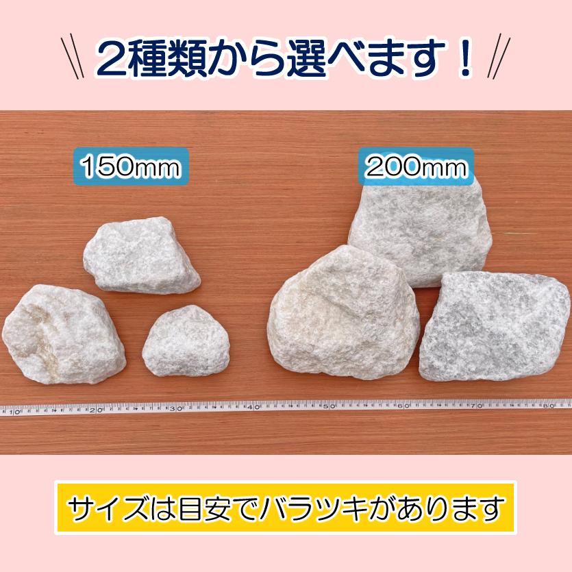 新潟産　桜石　3石セット　庭石　鑑賞石 石　割栗石　庭　坪庭 新潟産 桜石 3石セット 庭石 鑑賞石 石 割栗石 庭 坪庭