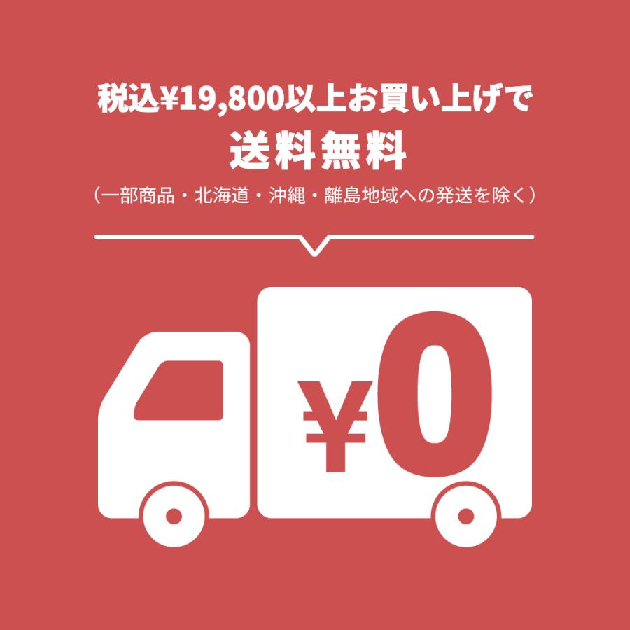 電気柵　部材セット　ネクストアグリ　いのしし　防獣対策　延長100ｍセット（小動物・2段張用）　イノシシ　猪　サル　防獣くん電線セット（支柱・フック・電線）