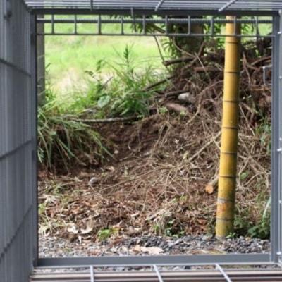 営業所止めにてお届け】イノシシ箱罠 トリガー式 蹴り糸式 営業所止めにてお届け】イノシシ箱罠 トリガー式 蹴り糸式