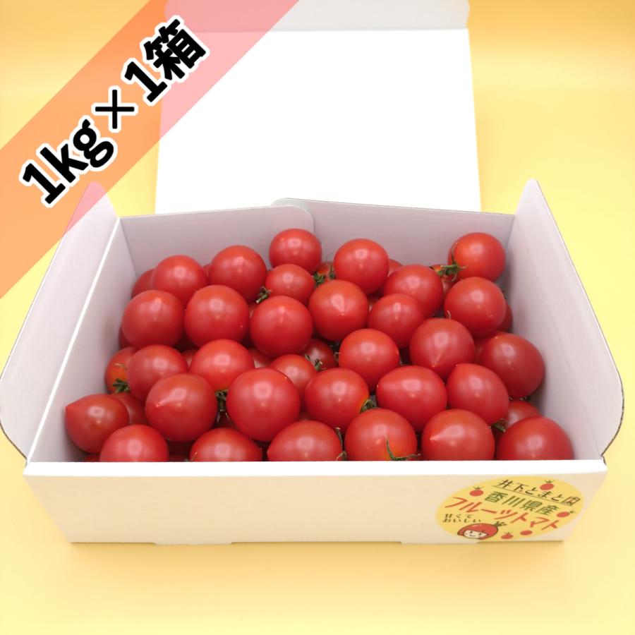 ＜フルーツトマト＞香川県産完熟トマト フリーサイズ約1kg＜40~70玉前後＞ :tomato-01:井下とまと園ヤフーショップ - 通販 -  Yahoo!ショッピング