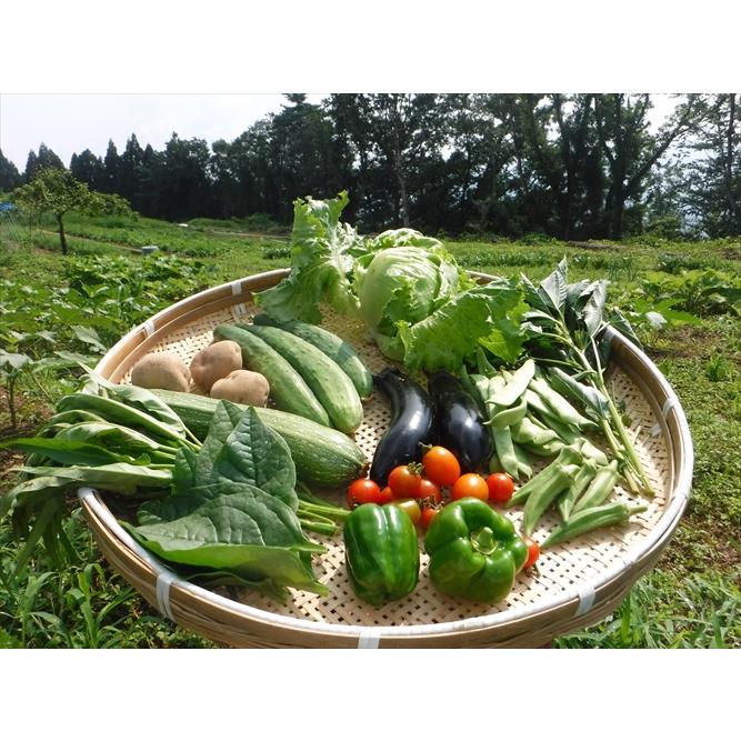 新鮮 出荷日収穫 鳥取より 自然栽培の野菜セット 物品 本物 無肥料 Ｍサイズ 8-10種類 無農薬 無除草剤