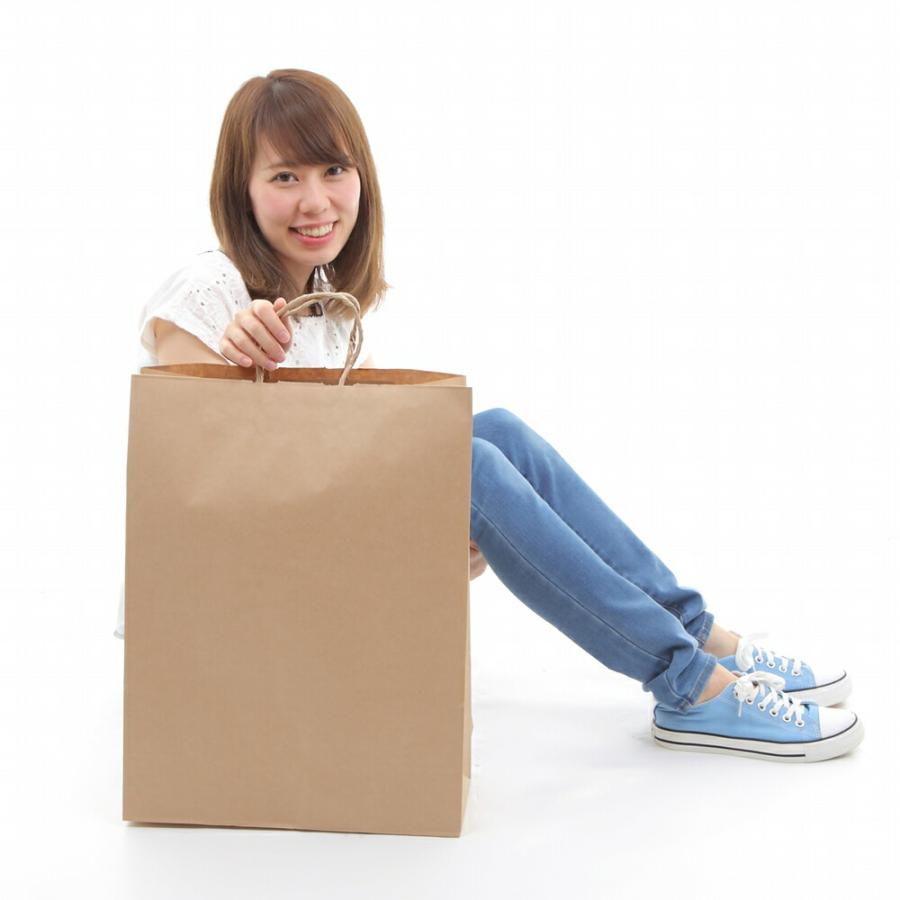 紙袋 特大 大容量 業務用 手提げ 50枚 200枚 1000枚 大きいサイズ 大型