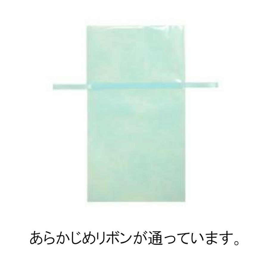 バレンタイン ラッピング 袋 透明 不織布 袋 小さい 巾着袋 巾着 窓