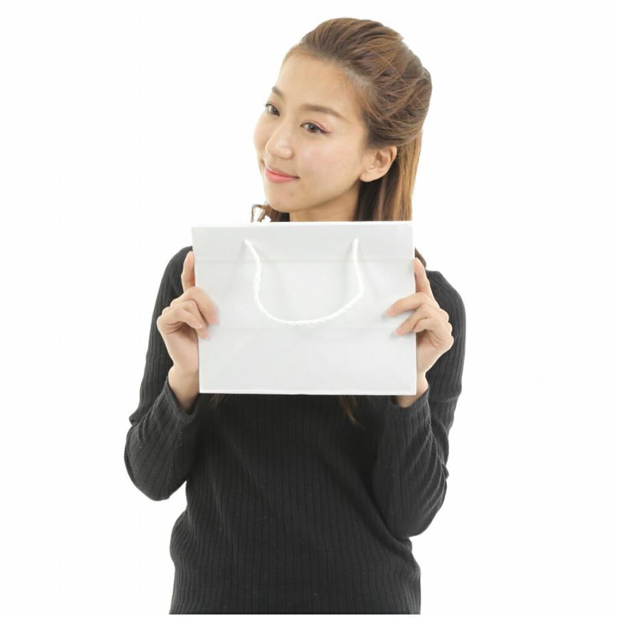 紙袋 マチ広 L-26 フラット 10枚 100枚 500枚 260×160×200 手提げ ペーパバッグ 白 無地 ラッピング ギフト おしゃれの画像