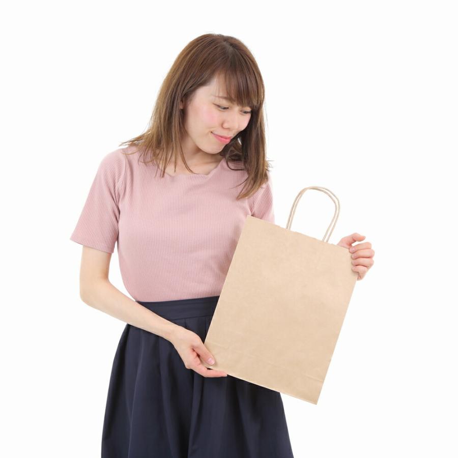 紙袋 A4 手提げ 中 取っ手 業務用 50枚 200枚 1000枚 未晒 無地 クラフト HA-4 260ｘ100ｘ330の画像