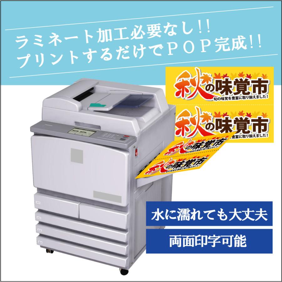 A4／厚口120μ／お試し20枚入り【レーザープリンタ用 耐水紙L-BP