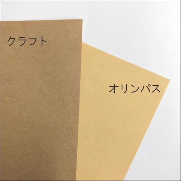 Gオリンパス クラフト紙 A4／100枚入【オリンパス紙ラベル（薄茶）普通粘着】【送料区分B