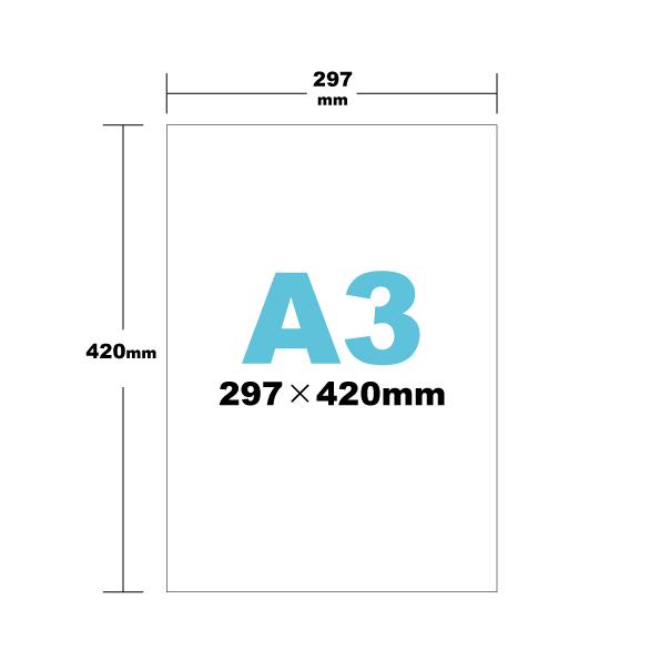 Ａ３／100枚入【和紙ラベル１０（白）】【送料区分B】｜inoueprinting｜07