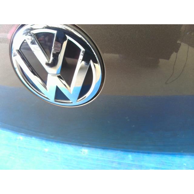 470415 5 VW ザ・ビートル DBA-16CBZ バックドア リアゲート LH8Z 