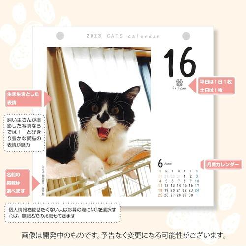 カレンダー 猫 2026 猫めくり 卓上 リフィル : インプットM広島Yahoo