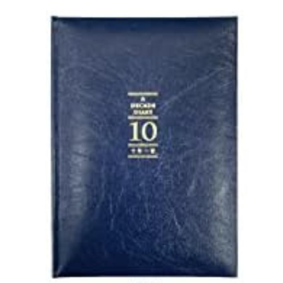 日記帳 10年日記 アーティミス 十年一昔 日記  B6 DP10 | ARTEMIS（雑貨） | 01