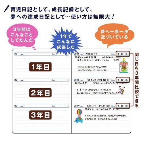 日記帳 3年日記 アーティミス 星座 B6 DP3-SE ■メール便限定■｜inputmhiroshima｜07