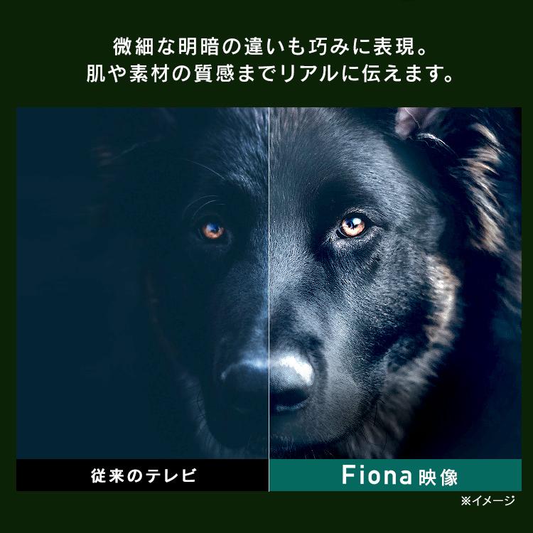 IRIS OHYAMA（アイリスオーヤマ） テレビ 50インチ 4K対応 液晶テレビ