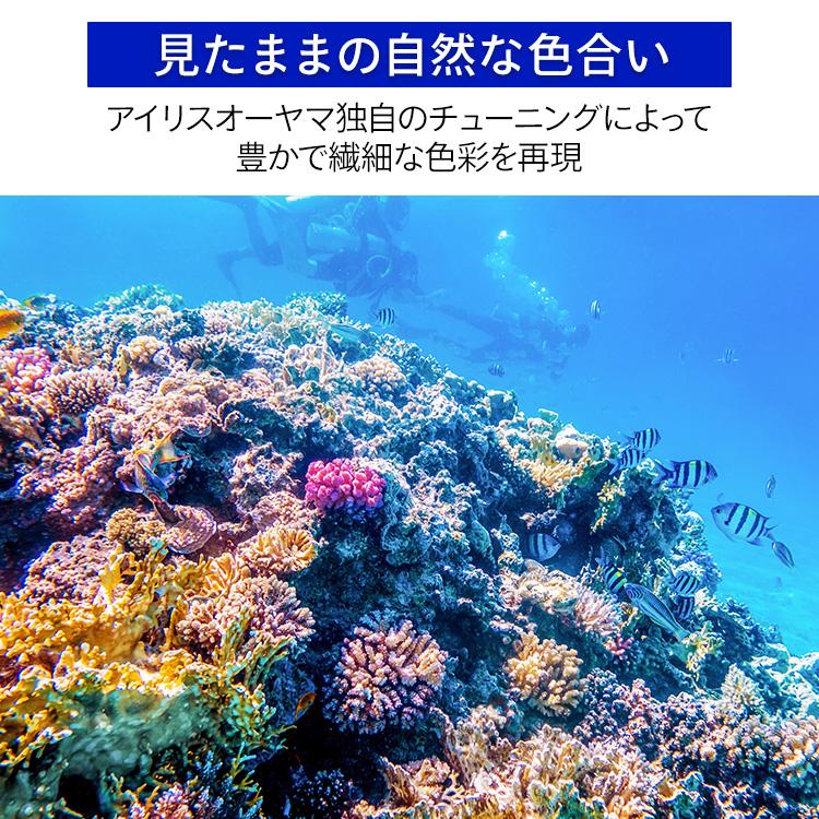 IRIS OHYAMA テレビ 液晶テレビ 32型テレビ 液晶 tv 2K 地上波 IRIS OHYAMA テレビ 液晶テレビ 32型テレビ 液晶 tv 2K 地上波