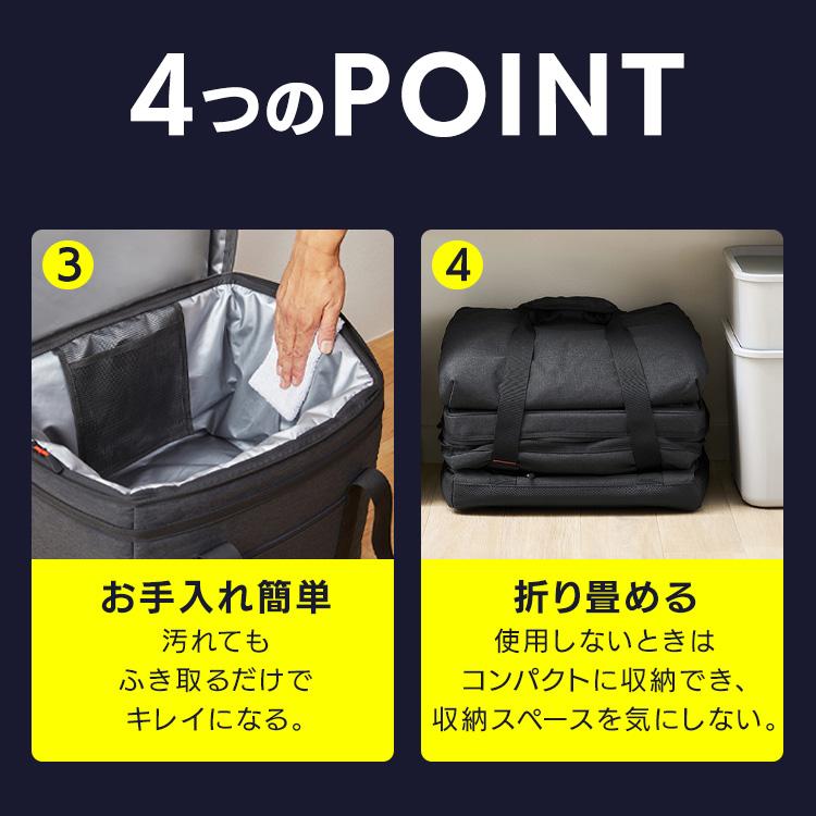 IRIS OHYAMA（アイリスオーヤマ） クーラーボックス 小型 25L 保冷力
