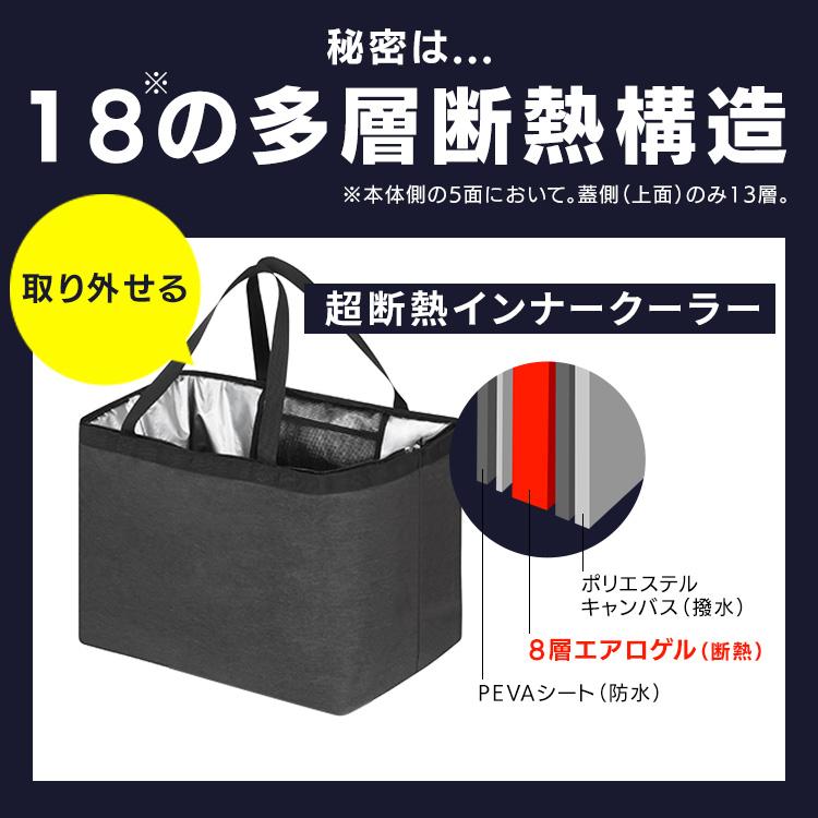 IRIS OHYAMA（アイリスオーヤマ） クーラーボックス 小型 25L 保冷力