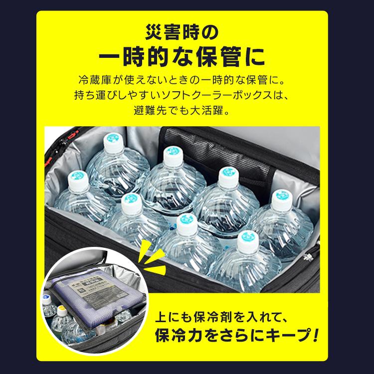 IRIS OHYAMA（アイリスオーヤマ） クーラーボックス 大型 40L 保冷力
