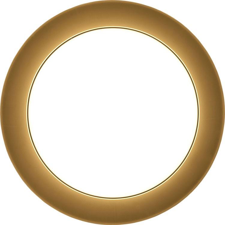 IRIS OHYAMA（アイリスオーヤマ） シーリングライト LED 8畳 電気 照明