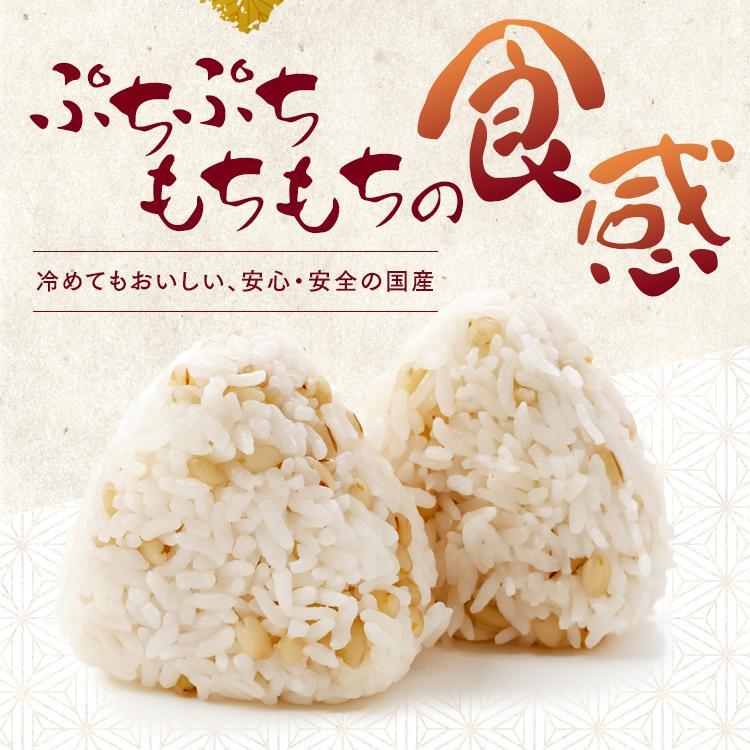 アイリスフーズ（IRIS FOODS） もち麦 国産 2kg 4袋 チャック付 国産