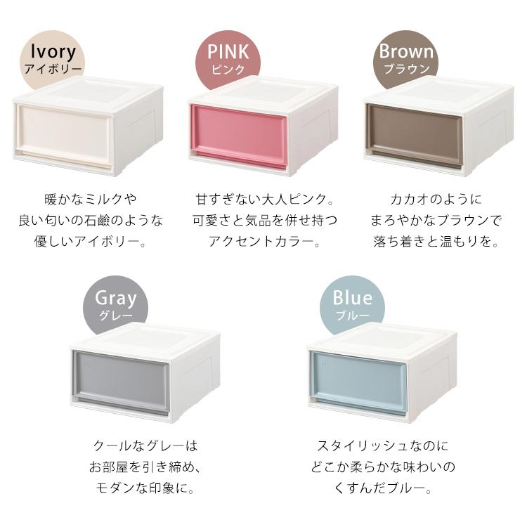 IRIS OHYAMA（アイリスオーヤマ） 収納ボックス Lサイズ 収納ケース