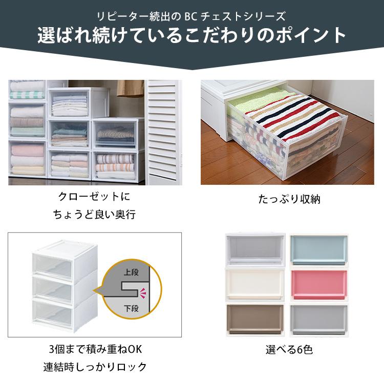 IRIS OHYAMA（アイリスオーヤマ） 収納ボックス Lサイズ 収納ケース