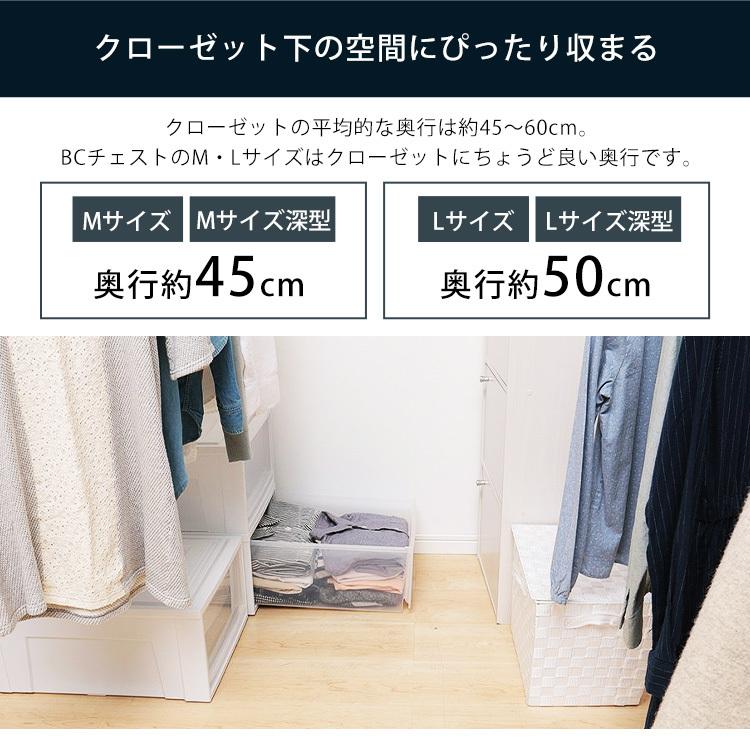 IRIS OHYAMA（アイリスオーヤマ） 収納ボックス Lサイズ 収納ケース