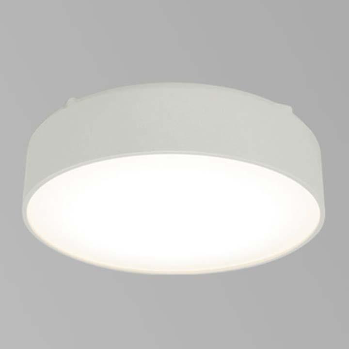 IRIS OHYAMA（アイリスオーヤマ） 薄型直付LEDライト 1050N-S1-W